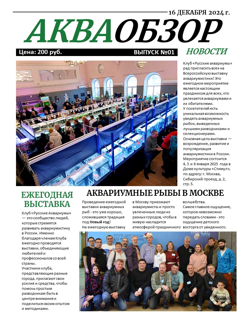 Декабрь 24